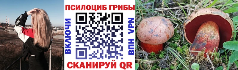 Псилоцибиновые грибы ЛСД Долгопрудный