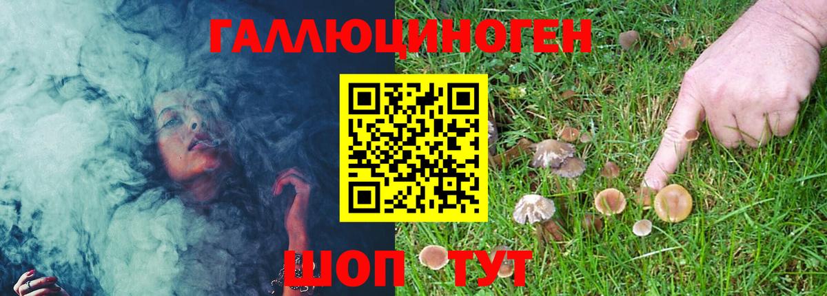 Меф МЯУ МЯУ кристаллы  Кокаин  Вход с VPN  Долгопрудный  Alpha PVP СК кристаллы  ЭКСТАЗИ  Канабис  MDMA  ГАШ 