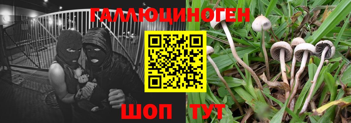 Псилоцибиновые грибы MAGIC MUSHROOMS  Вход с VPN  Долгопрудный 