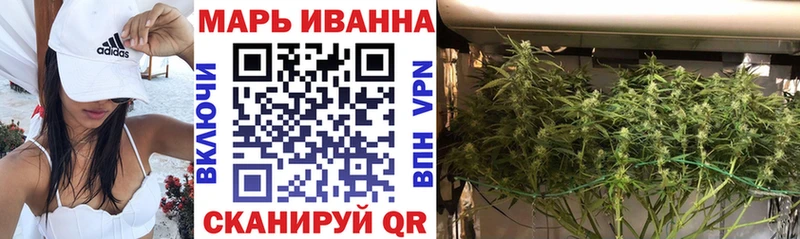 что такое наркотик  Долгопрудный  Бошки Шишки SATIVA & INDICA 